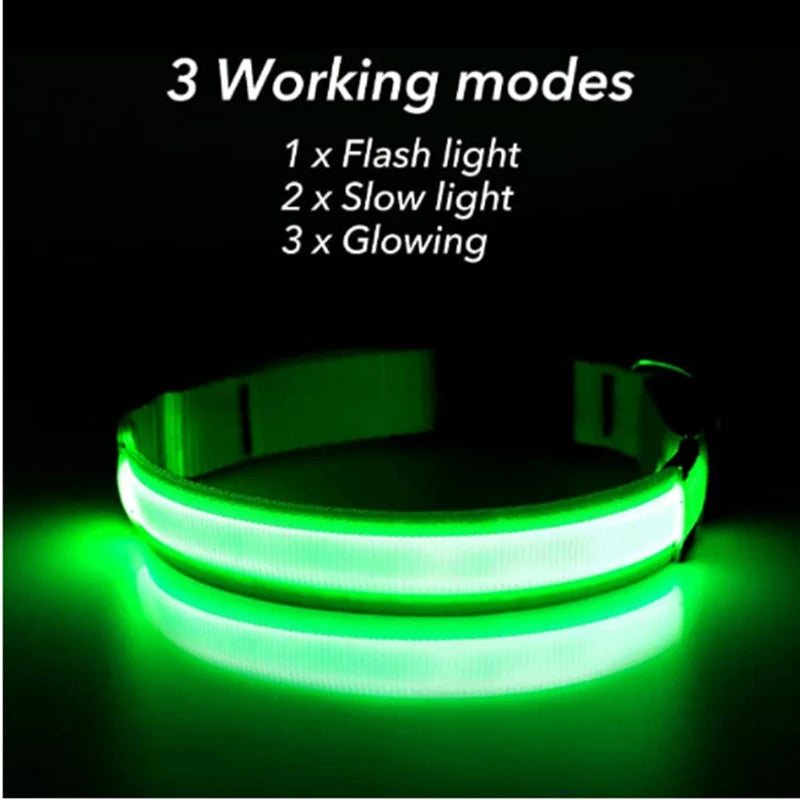 LED Safety Dog Collar (USB Rechargeable)