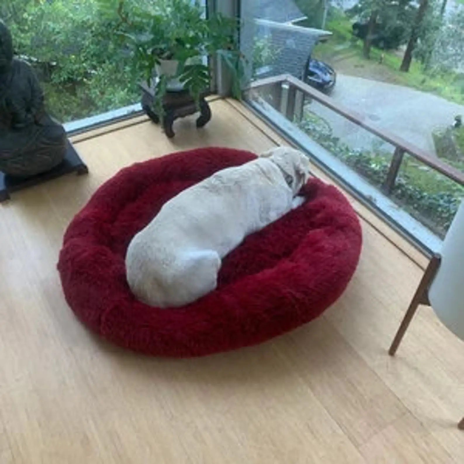 Anti-Anxiety Calming Dog Bed